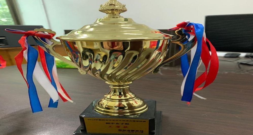 2019年12月，在衡阳市中学生排球比赛中获得初中男子三等奖。
